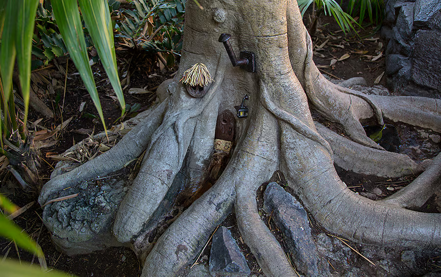 Tree roots hiding the tiny Little Man of Disneyland door and miniature details.